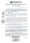 Vista preliminar de documento RGSRLS Nº003-2013