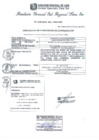 Vista preliminar de documento RGSRLS Nº019-2013