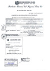 Vista preliminar de documento RGSRLS Nº033-2013