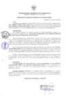 Vista preliminar de documento resolucion-gerencia-079-2020-mdc.pdf