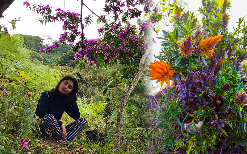 Gardalia Quispe, talento que ayuda a prevenir extinción de plantas medicinales.jpg