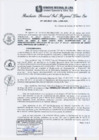 Vista preliminar de documento RGSRLS Nº106-2013