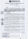 Vista preliminar de documento RGSRLS Nº148-2013