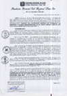 Vista preliminar de documento RGSRLS Nº151-2013
