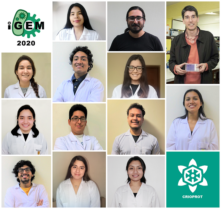 Universitario peruanos ganan medalla de oro en evento internacional de biotecnología
