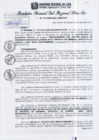 Vista preliminar de documento RGSRLS Nº157-2013