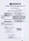 Vista preliminar de documento RGSRLS Nº164-2013