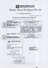 Vista preliminar de documento RGSRLS Nº169-2013