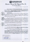 Vista preliminar de documento RGSRLS Nº172-2013