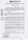 Vista preliminar de documento RGSRLS Nº181-2013