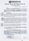 Vista preliminar de documento RGSRLS Nº187-2013