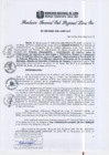 Vista preliminar de documento RGSRLS Nº189-2013
