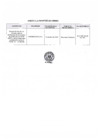 Vista preliminar de documento Anexo