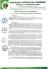 Vista preliminar de documento OM-008-2019-MPLC