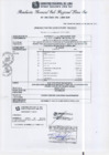 Vista preliminar de documento RGSRLS N°250-2013