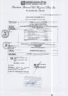 Vista preliminar de documento RGSRLS N°252-2013