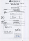 Vista preliminar de documento RGSRLS N°253-2013