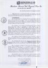 Vista preliminar de documento RGSRLS N°258-2013