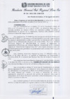 Vista preliminar de documento RGSRLS N°261-2013