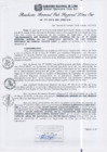 Vista preliminar de documento RGSRLS N°271-2013