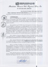 Vista preliminar de documento RGSRLS N°272-2013