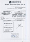 Vista preliminar de documento RGSRLS N°277-2013