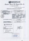 Vista preliminar de documento RGSRLS N°278-2013