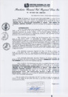 Vista preliminar de documento RGSRLS N°287-2013