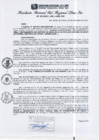 Vista preliminar de documento RGSRLS N°291-2013
