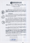 Vista preliminar de documento RGSRLS N°293-2013
