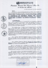 Vista preliminar de documento RGSRLS N°295-2013