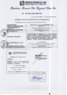 Vista preliminar de documento RGSRLS N°297-2013