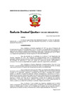 Vista preliminar de documento RDE045_2021MIDAGRI_PCC_lineamentos_de_calidad