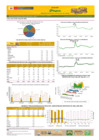 Vista preliminar de documento Boletín de volumen y precio de PAPA 03/05/21
