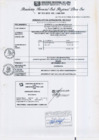 Vista preliminar de documento RGSRLS N°301-2013