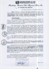 Vista preliminar de documento RGSRLS N°303-2013