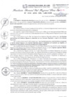 Vista preliminar de documento RGSRLS N° 131-2019