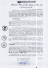 Vista preliminar de documento RGSRLS N°307-2013