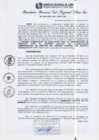 Vista preliminar de documento RGSRLS N°316-2013