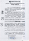Vista preliminar de documento RGSRLS N°337-2013