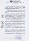 Vista preliminar de documento RGSRLS N°373-2013