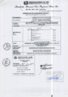 Vista preliminar de documento RGSRLS N°374-2013