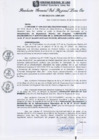 Vista preliminar de documento RGSRLS N°380-2013