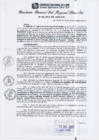 Vista preliminar de documento RGSRLS N°381-2013