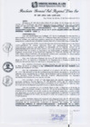 Vista preliminar de documento RGSRLS N°389-2013