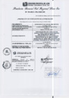 Vista preliminar de documento RGSRLS N°391-2013