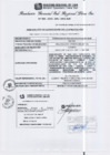 Vista preliminar de documento RGSRLS N°393-2013