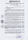 Vista preliminar de documento RGSRLS N°399-2013