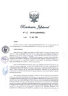 Vista preliminar de documento RJ-115-2019-CENEPRED/J