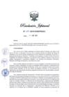 Vista preliminar de documento RJ-009-2019-CENEPRED/J